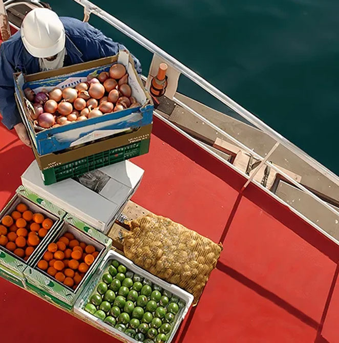 Supply Provisions, Ship Stores